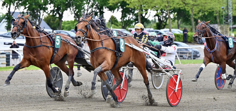 STARTLISTER - Aalborg onsdag med V65 - Kaley D C i sæsondebut