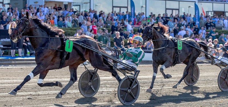 COPENHAGEN CUP - Icebreaker desværre også udgået i Copenhagen Cup 2026