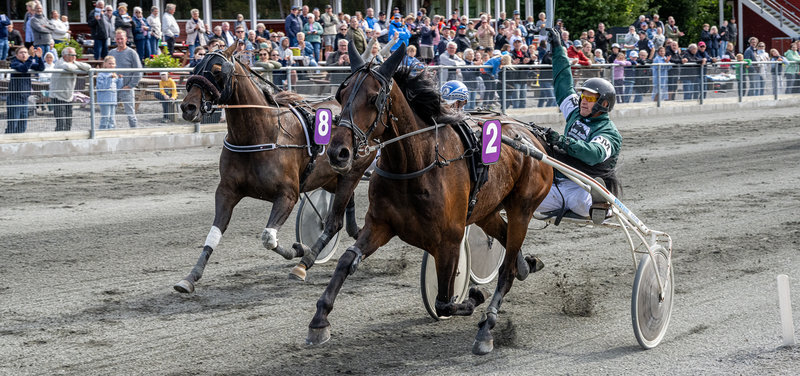 Tipsanalyser til alle løbene - BORNHOLM fredag 14. maj