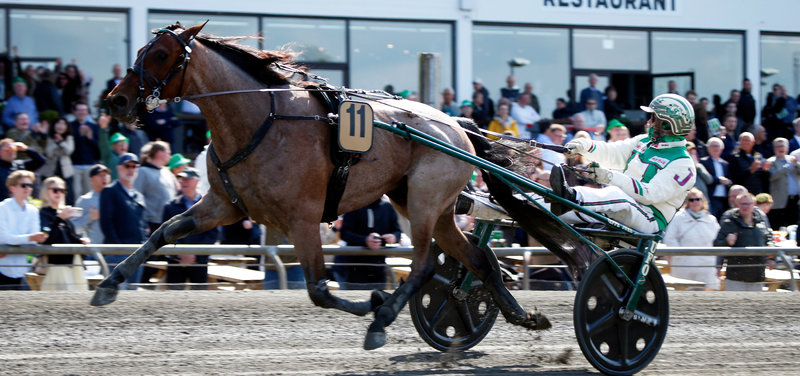 ELITLOPPET - Perfekt startspor for Jeppe Juel-trænede Daniel Hazelaar