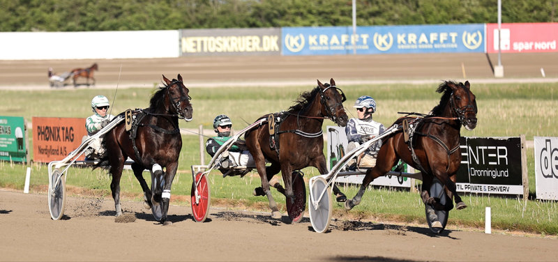 Tipsanalyser til alle løbene - ODENSE Auktionsløb - lørdag 6. juni