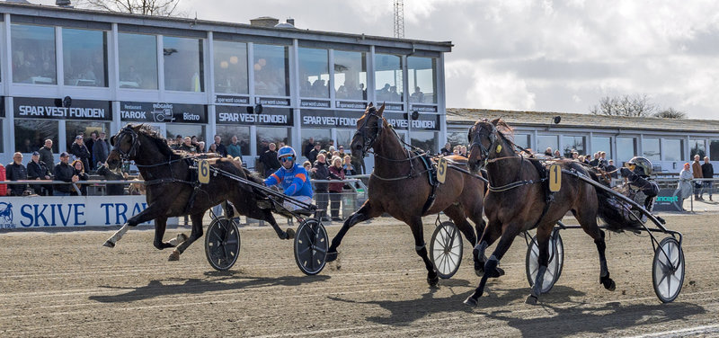 GRAND CIRCLE 5-ÅRS - Kun 25 heste totalt meldt til Pointberegning