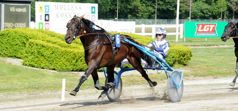 STARTLISTER - Aalborg fredag med Grand Circle 5-års Championater
