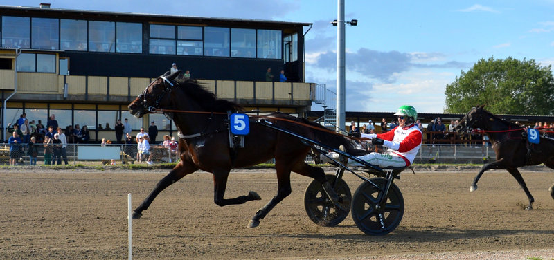 STARTLISTER - Nykøbing Falster Travbane med V65-spil og 8 løb på onsdag