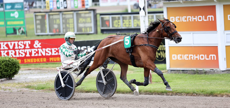 GC5HP - Kaley D C sikkerheden selv hos pigerne
