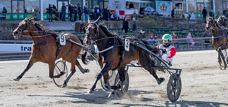 Manhattan Trot ved en tidligere sejr på Lunden.