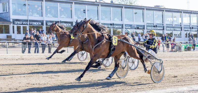 STARTLISTER - Skive onsdag 1. juli & Aalborg torsdag 2. juli