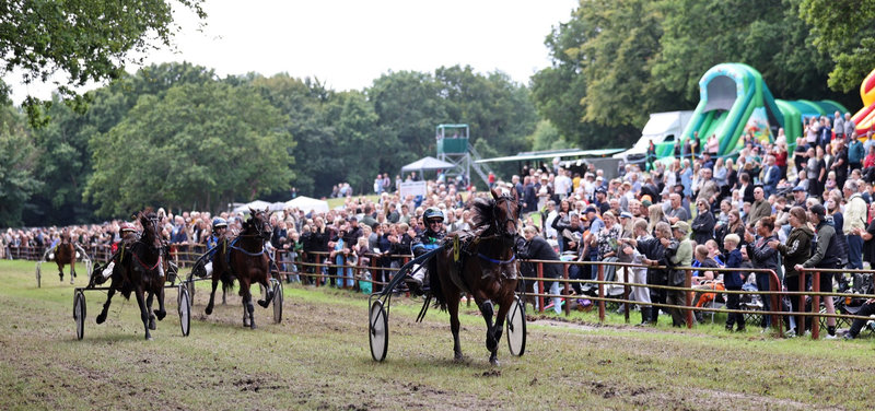 Fart, fest og folkefest når Asaa Hestevæddeløb vender tilbage 5. juli