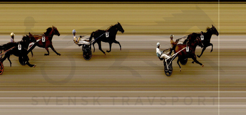 SPRINTERMÄSTERN - Wise Guy videre til finalen på ny rekord på andenplads