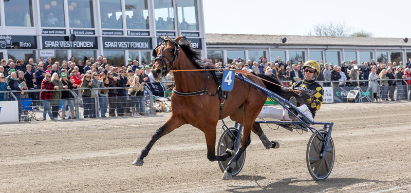 STARTLISTER - Skive fredag med Grand Circle 3-års Championater og 10 løb