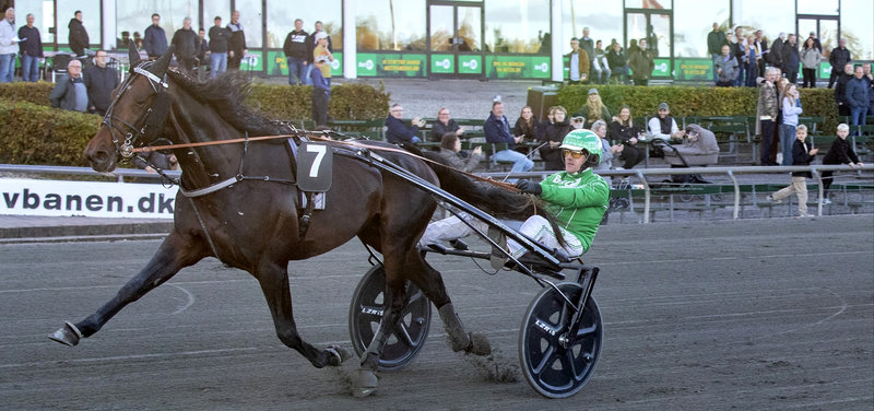 STARTLISTER - Lunden onsdag og Aalborg torsdag