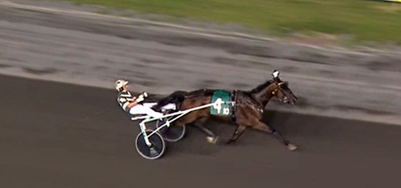 USA - Sejr til Cowboyens hest i 1.09,0 på Meadowlands