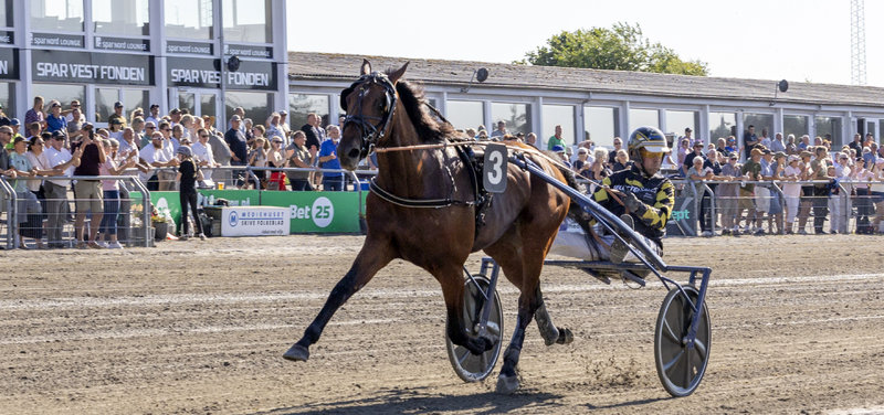 POINTBEREGNING - Jydsk 3-årings Grand Prix
