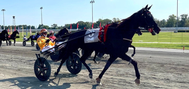 VM YONKERS - Copenhagen Cup-vinderen Diva Ek udtaget som anden hest