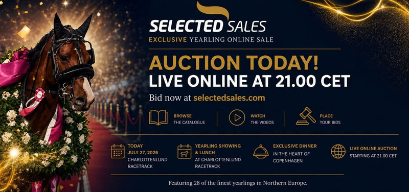 AUKTION - Masser af lækre åringer til salg på SelectedSales.com i aften