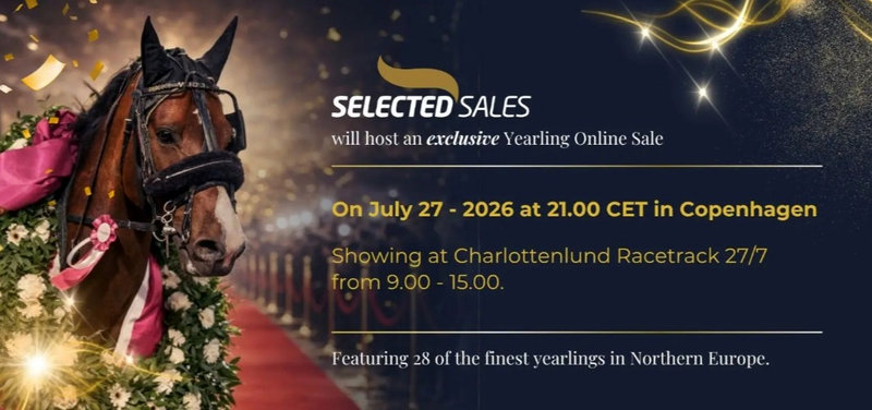 AUKTION - Copenhagen Yearling Sale 2026 - Hvad skete der?