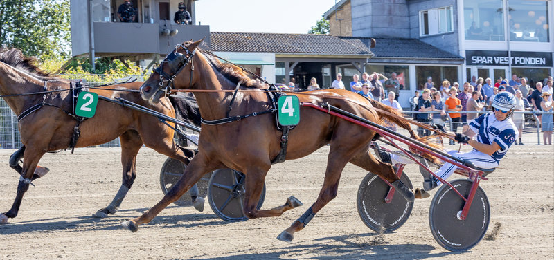 TIPSANALYSER til alle løbene - AARHUS Grand Prix-prøver fredag 31. juli