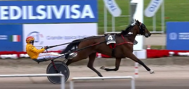Ny millionær til Stald Masiol & Panamera Racing