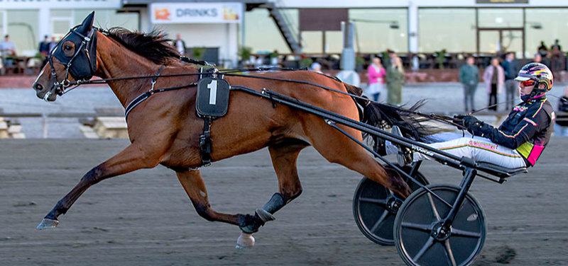 POINTBEREGNING - Dansk Trav Derby & Dansk Hoppe Derby