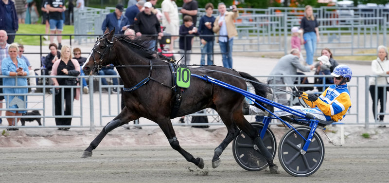 VM YONKERS - Mellby Jinx er udtaget til det uofficielle VM