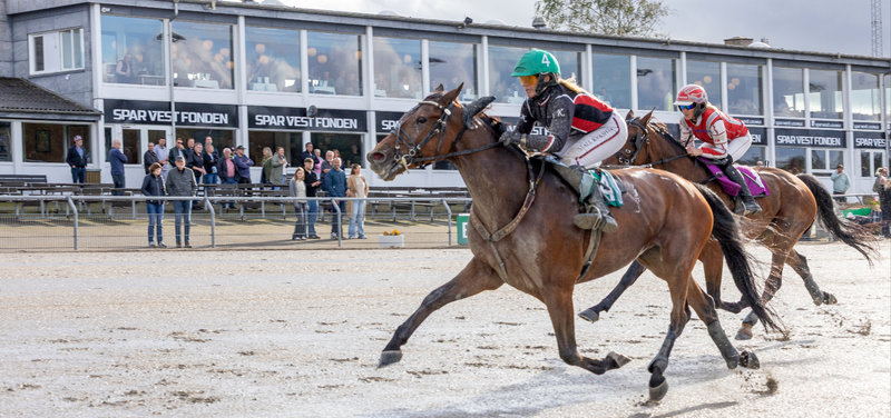 STARTLISTER - Odense fredag med DM i Monté som topnummeret