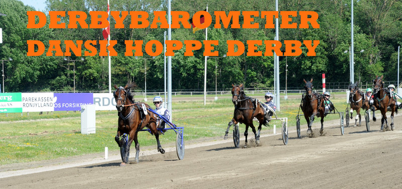 DERBYBAROMETER - Dansk Hoppe Derby 15. august 2026