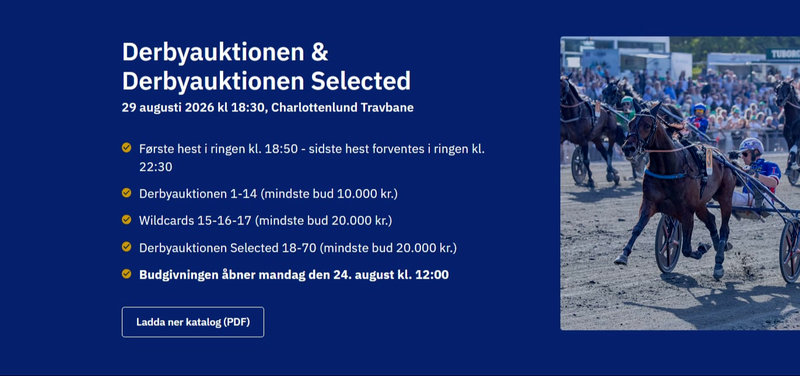 DERBYAUKTION - Fotos og videoer uploadet på langt de fleste heste