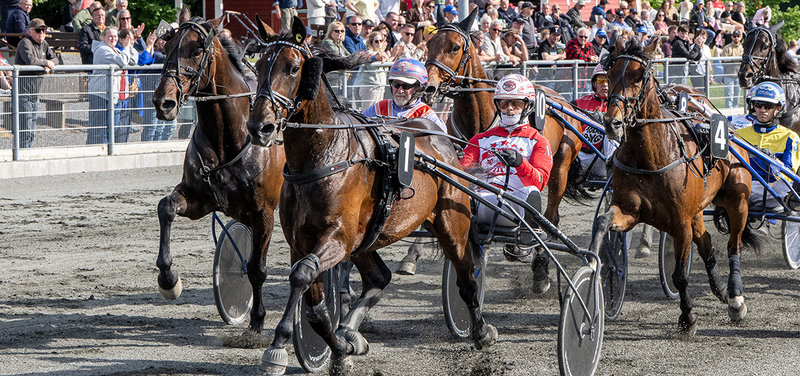 STARTLISTER - Bornholm lørdag med Bornholmsmesterskab og hele 11 løb