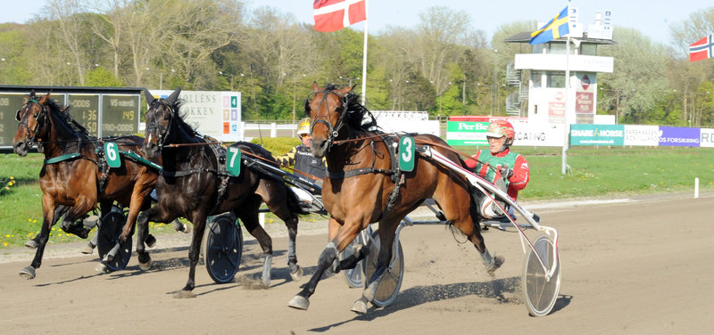 DERBY: Björn Goop kører i Dansk Trav Derby