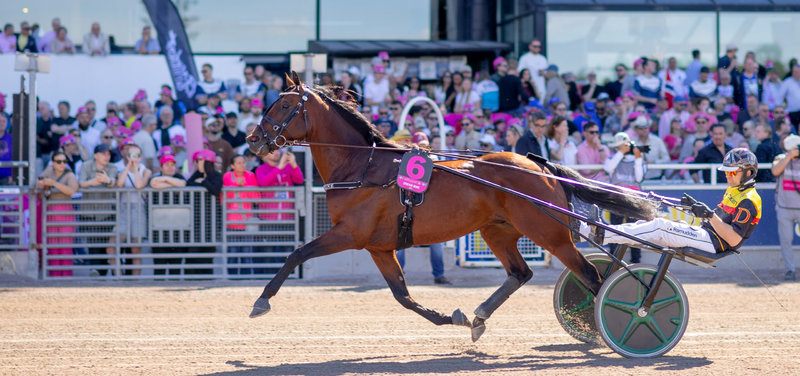 MARGARETA-POKALEN: Let start-til-mål-sejr til Dream Mine