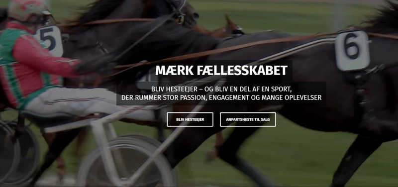 NYHEDSBREV - Dansk Travhesteejerforening 23. august 2026