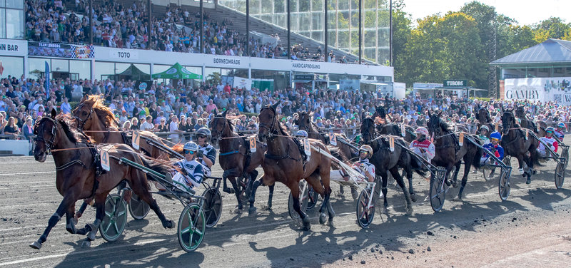 DERBYWEEKEND - Startlisterne er nu klar til både lørdag og søndag