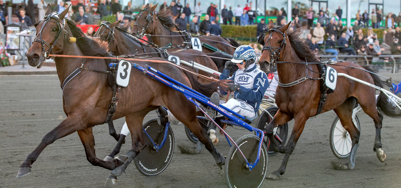 TIPSANALYSER til alle løbene - LUNDEN DERBYLØRDAG 29. august