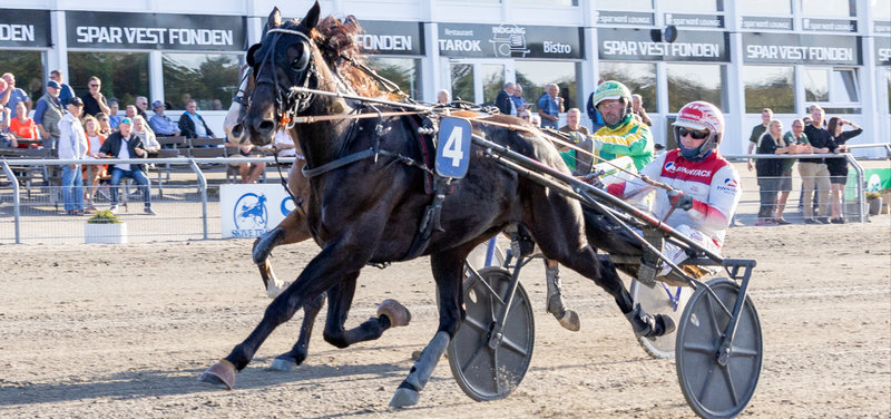 STARTLISTER - Aarhus med V65-løb på menuen på onsdag