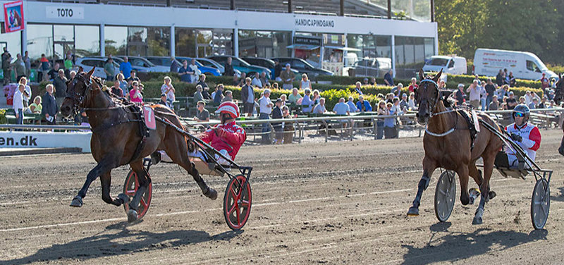 TIPSANALYSER til alle løbene - LUNDEN DERBYSØNDAG 30. august