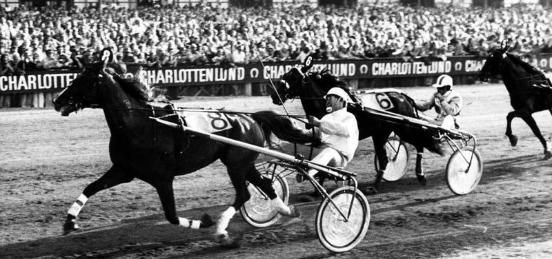 DANSK TRAV DERBY - 50 år siden Tarok vandt Derbyet - Minidokumentar