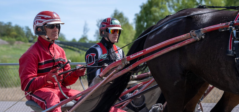 DANSK TRAV DERBY - Team Untersteiner i favorittens rolle med Lazy Dust