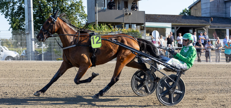 STARTLISTER - Nykøbing Falster Travbane torsdag 3. september