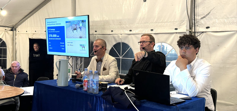 DERBYAUKTION - Danskhv.dk: En fantastisk auktion