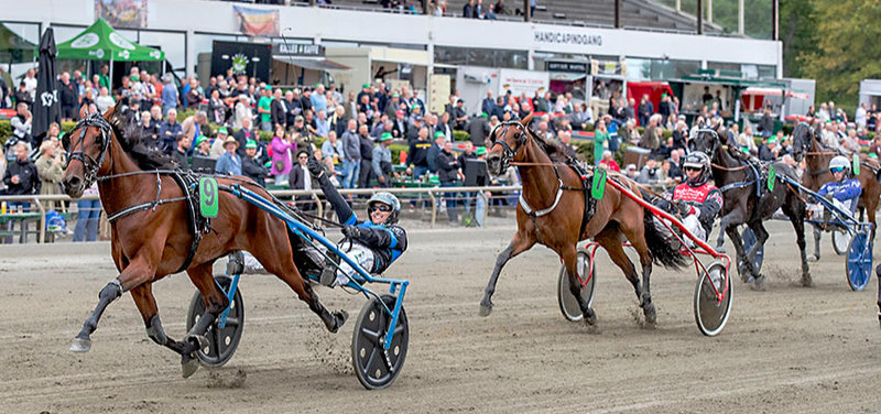 Sky Victory solgt og skifter fra Morten Friis til Kim Pedersen