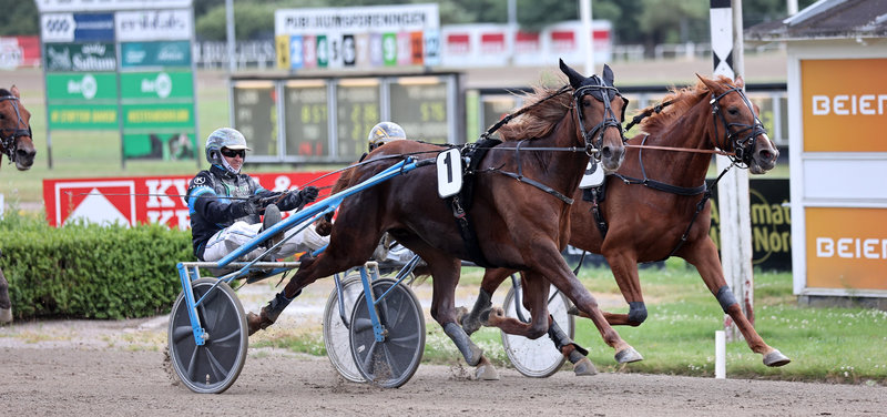 TIPSANALYSER til alle løbene - AALBORG DM lørdag 5. september