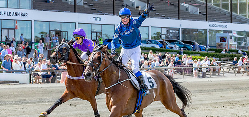 DERBYWEEKEND Sverige - Overblik over de dansktrænede heste Jägersro lørdag