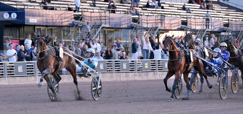 SVENSK DERBY - V85-spil og gode muligheder for dansk Derbysejr