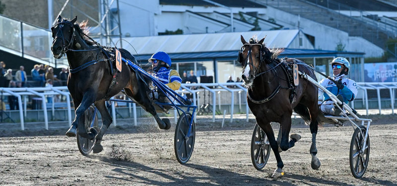 SVENSK DERBY - Outsideren Mellby Narrow vandt - Målgalop for Wise Guy