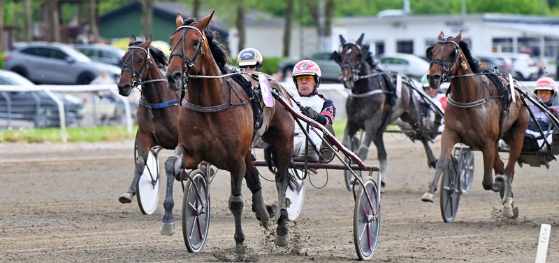 TIPSANALYSER til alle løbene - LUNDEN onsdag 9. september