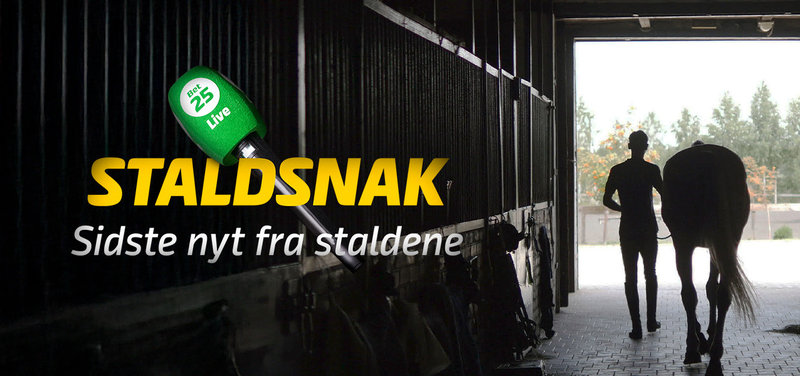 LUNDEN onsdag - Masser af træner/kuskekommentarer i "Staldsnak"