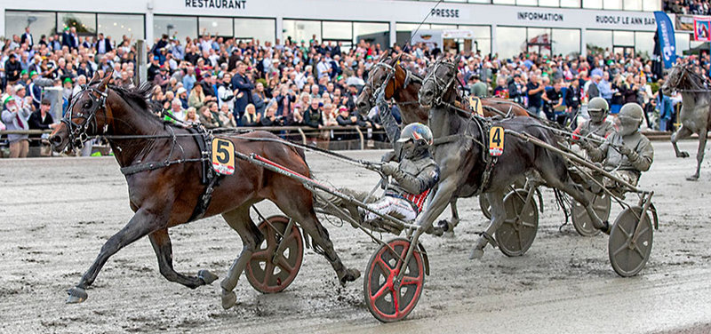AALBORG - Derbyvinderen Lazy Dust kommer ikke til Derbyrevanchen