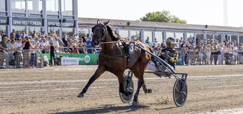 POINTBEREGNING - Dansk Trav Kriterium & Dansk Hoppe Kriterium