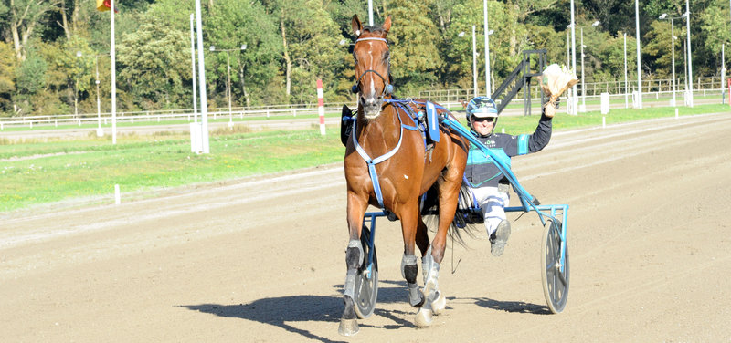 STARTLISTER - Skive mandag med travløb og Ladies Night