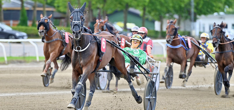 STARTLISTER - Lunden med otte søndagsløb med start kl. 12.00